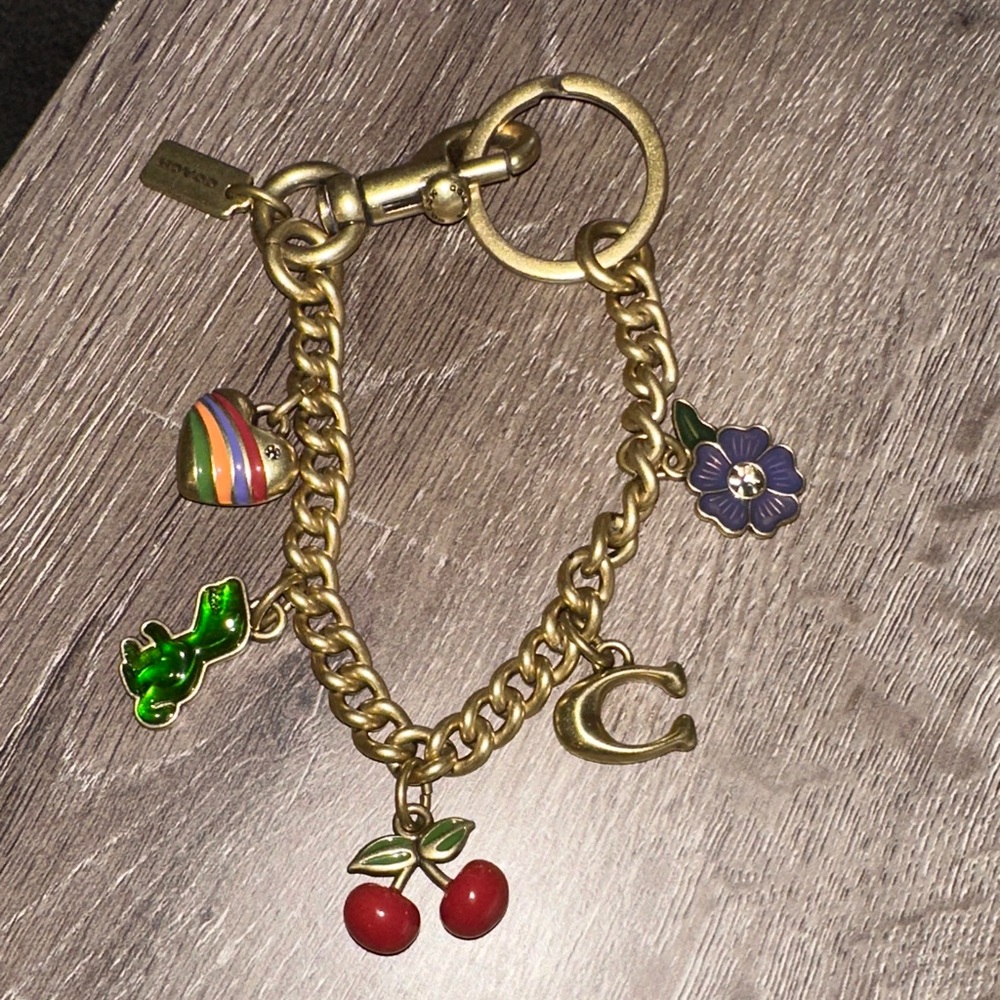 Coach MOTIF chain bag charm with Colorful Charms